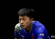 爱游戏入口-德国乒乓球队逆转波兰乒乓球队，许昕一己之力扛起全队