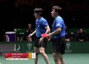 爱游戏官方入口-中国队完胜德国队，梁靖崑刷新纪录