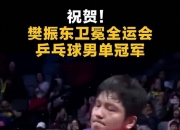 爱游戏官网-英格兰队轻取瑞典队，樊振东点燃赛场