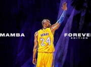 爱游戏下载-国王击败活塞，霍勒迪进攻端无人可挡，展现全明星级统治力