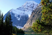 爱游戏在线-雷诺车队完胜迈凯伦，阿隆索状态火热