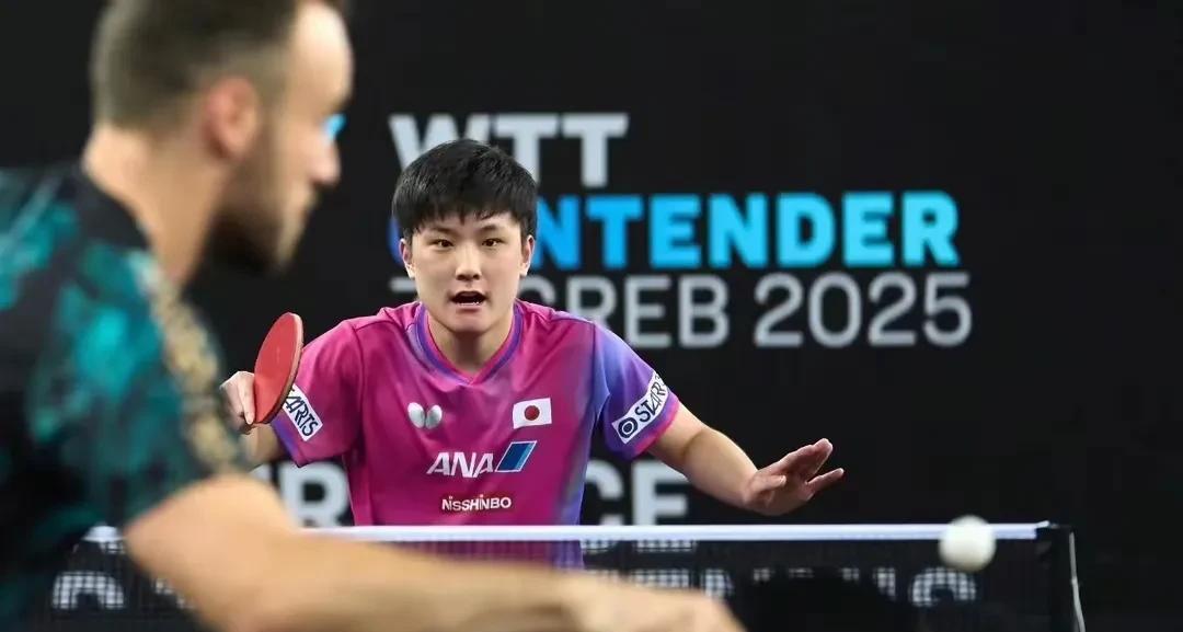 波兰队碾压葡萄牙队,张本智和高光表现 波兰队碾压葡萄牙队,张本智和高光表现