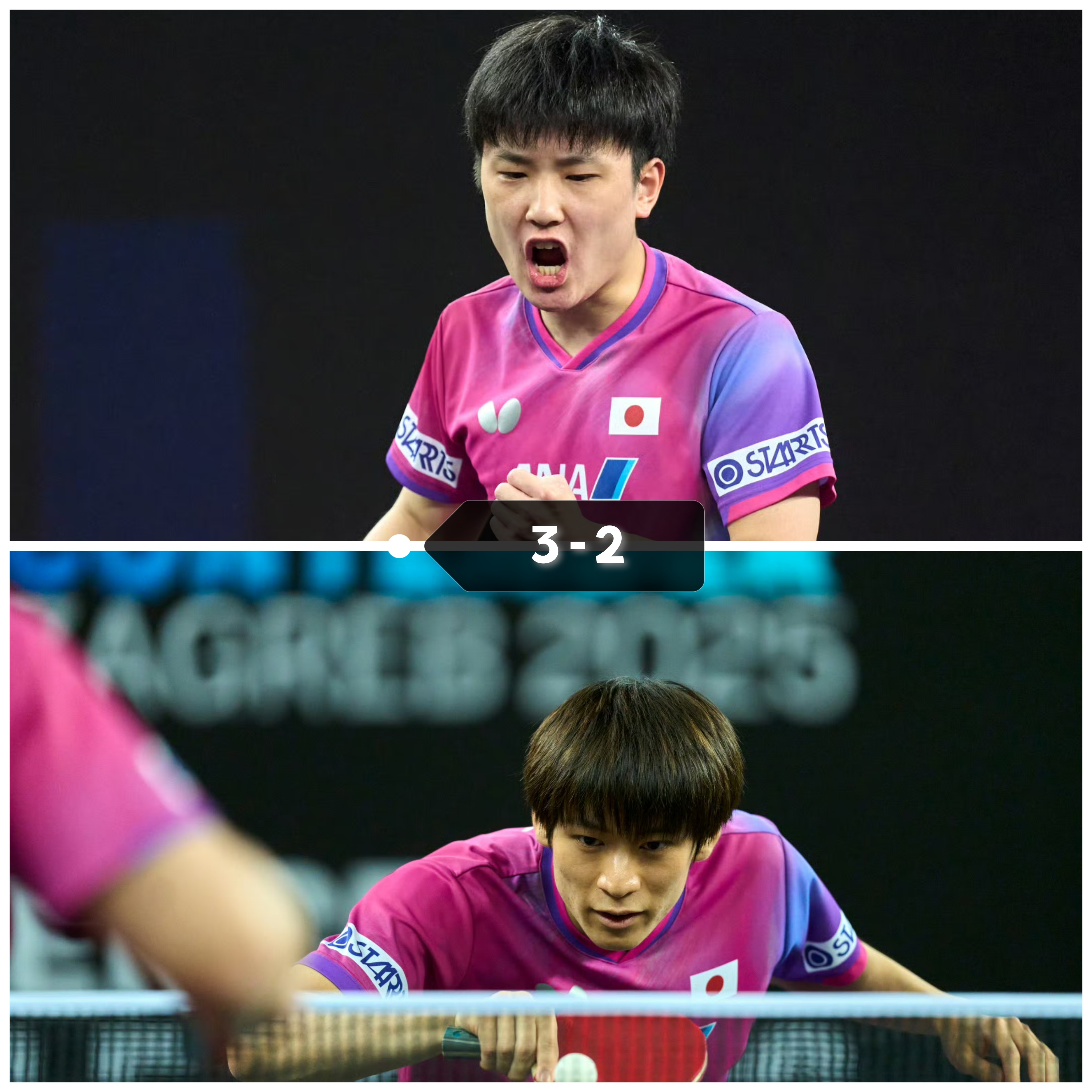 日本队逆转中国队，张本智和点燃赛场