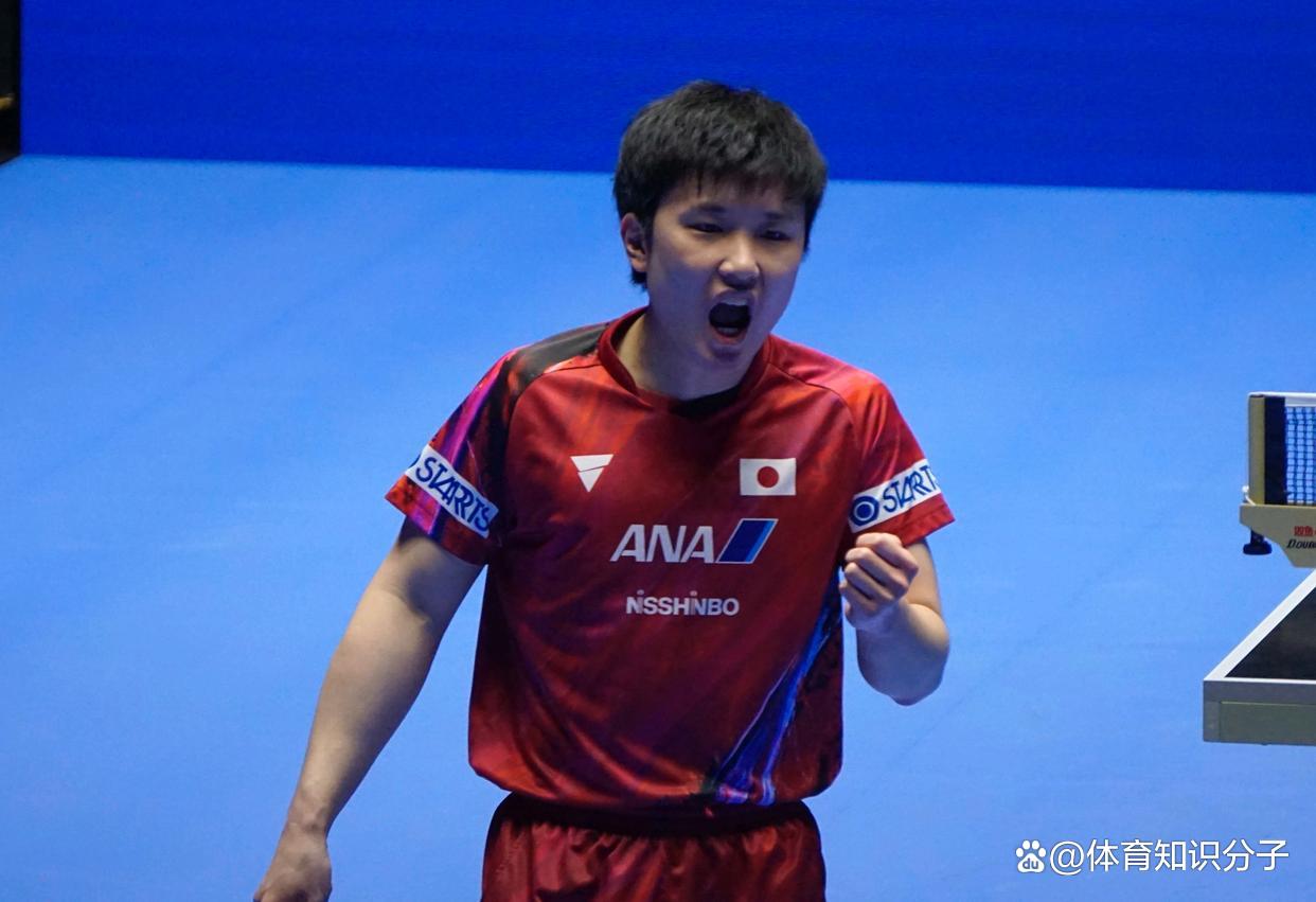 中国队力克葡萄牙队，张本智和状态火热