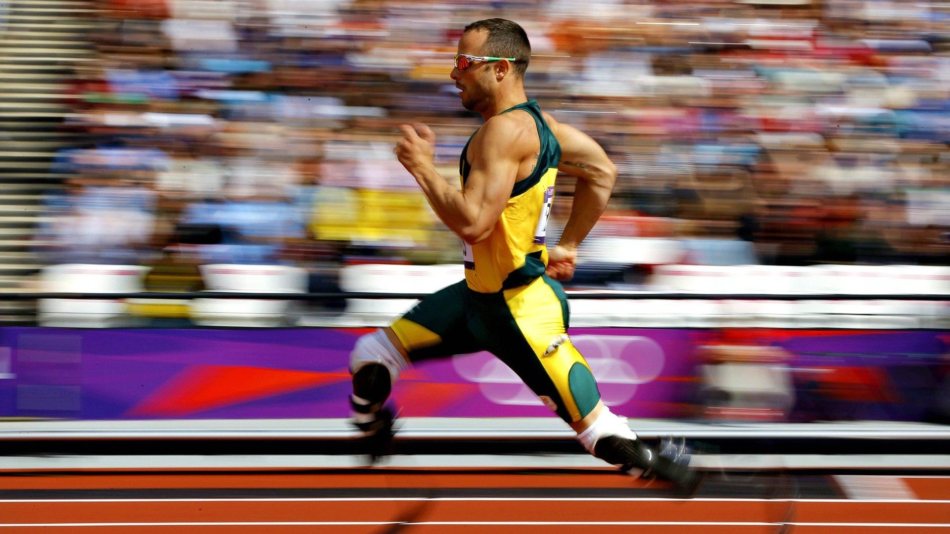 戈贝尔冠军级表现定乾坤，深圳队力克雄鹿展现防守艺术